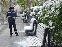 Теплая погода вернется в Центральную Россию в конце недели
