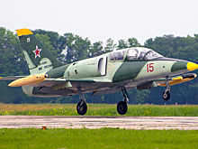 Крушение Л-39: одного из пилотов нашли живым