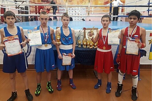 Юные петрозаводские боксёры привезли медали из Мурманска