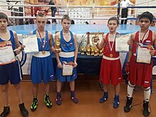 Юные петрозаводские боксёры привезли медали из Мурманска