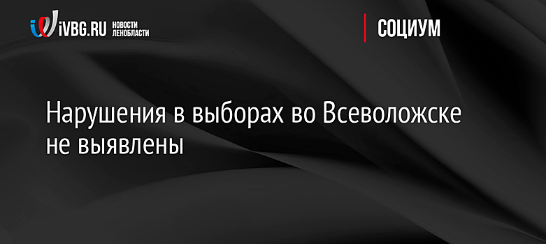 Нарушения в выборах во Всеволожске не выявлены