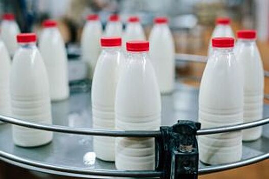 «Убежало» молоко. Почему цены на молочные продукты будут расти?