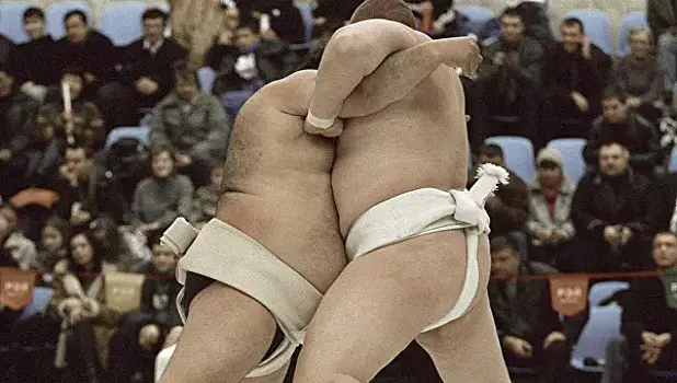 Россия победила Японию в матче по сумо на ВЭФ