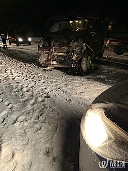 Полиция возбудила дело после гибели женщины и младенца в ДТП в Ленобласти