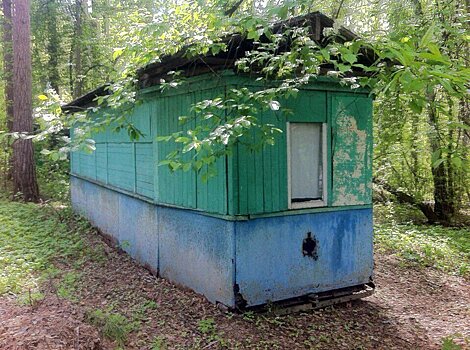 Не сарай, а трамвай. Новосибирск отдаёт Петербургу заброшенный ретро-вагон на реставрацию