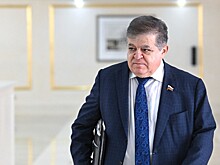 «Мы не враги»: российский сенатор оценил возможное сближение с Грузией