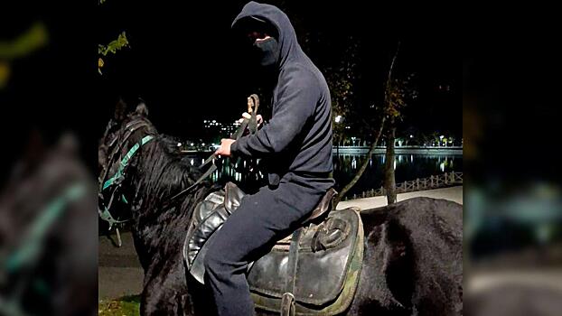 В Ставрополе полицией завершено расследование хулиганских действий всадника в Кисловодске