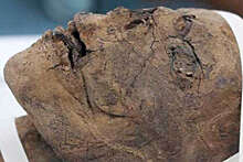 Археологи не обнаружили мозг у древнеегипетской мумии