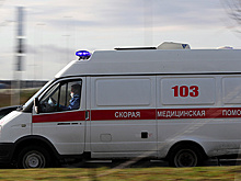 В Краснодарском крае параплан упал на автомобиль