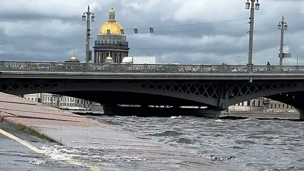 Петербуржцы поплыли на лодках по городу