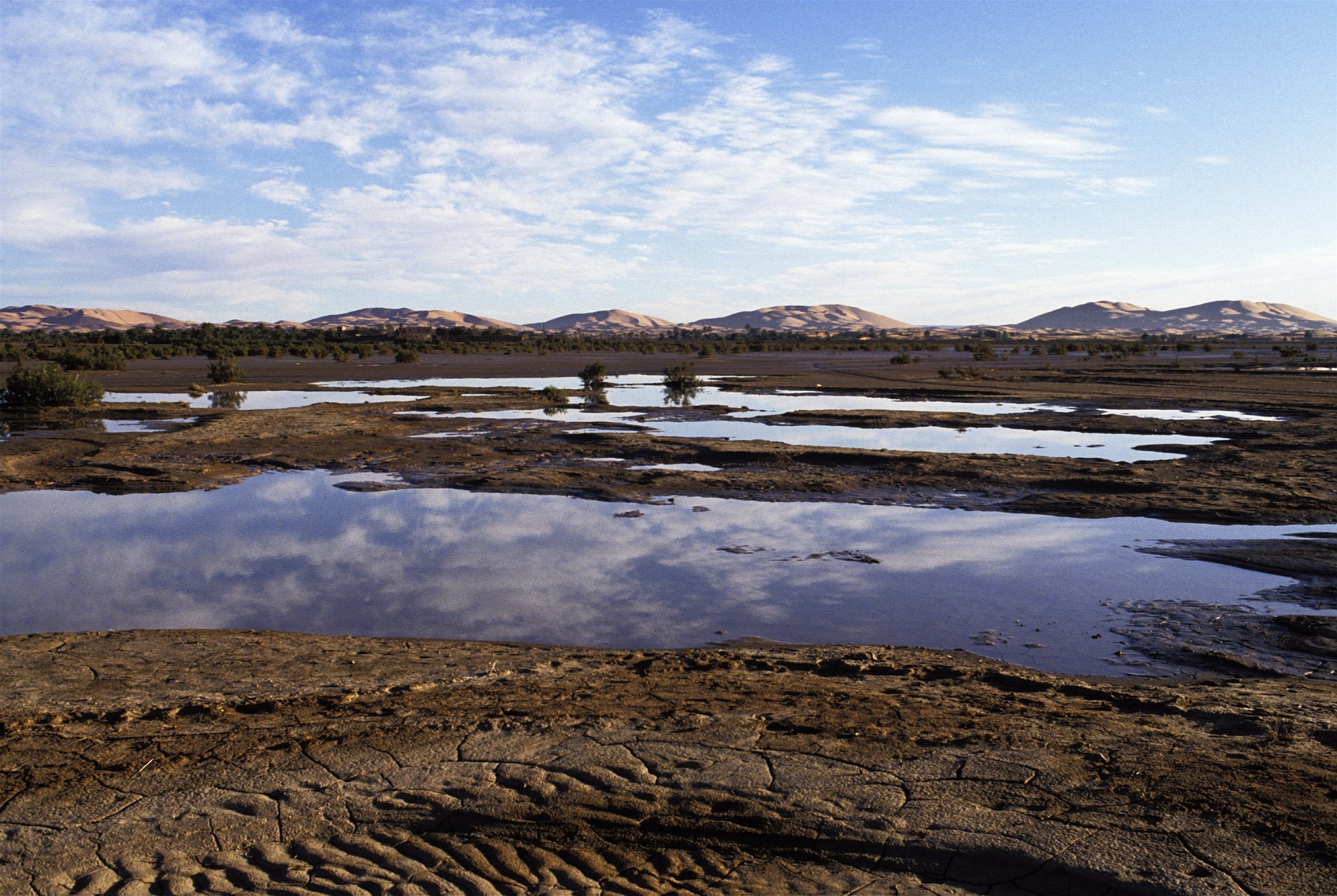 Independent: дожди затопили Сахару впервые за десятилетия