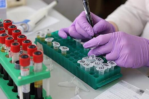 В Москве за сутки нашли более двухсот новых зараженных коронавирусом