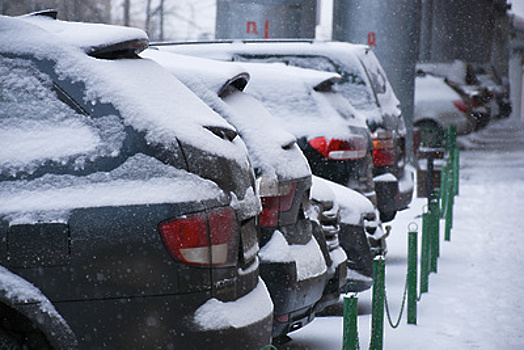 Более 17 тыс заявок на получение парковочных разрешений подали москвичи в феврале