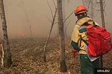 Эколог Пукалов: лесные пожары в России продлятся до октября