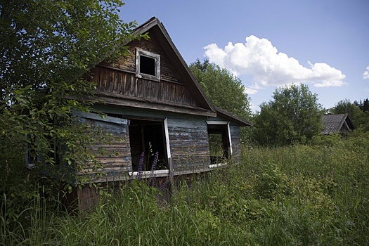 Дачникам дали три года на освоение участков