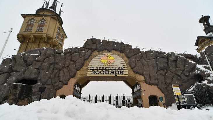 Московский зоопарк анонсировал старт проекта «Театр в библиотеке»