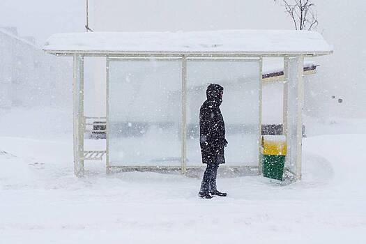 Центральную Россию накроют снегопады