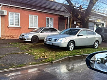 Парковщиков на газонах в Краснодаре будут штрафовать чаще