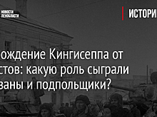 Освобождение Кингисеппа от фашистов: какую роль сыграли партизаны и подпольщики?