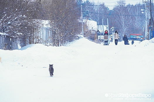Мороз до -11 градусов ожидается в Московском регионе в первый рабочий день года