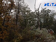 В Приморье ощутимо похолодает в четверг