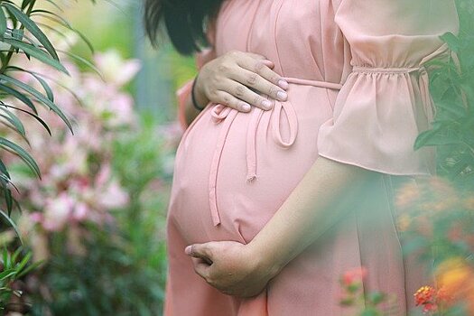 В Приамурье беременных в трудной материальной ситуации поддержат выплатами