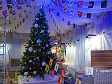 Нижегородцам назвали главные причины предновогоднего травматизма