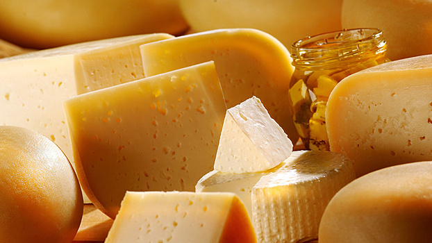 Новый завод по производству сыров на Кубани станет самым крупным в Европе