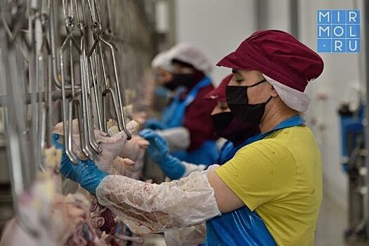 Хозяйства Дагестана могут получить до 70 млн рублей на модернизацию