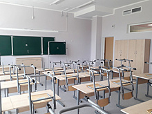 Свыше 1,2 тыс классов для детей с инвалидностью создали в Подмосковье