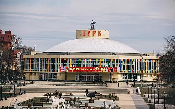 Более 340 жителей Донбасса посетили Рязанский цирк