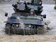 Англичанин случайно купил канадский танк