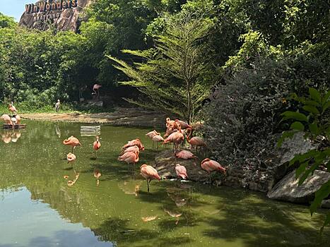 Названы необычные и бюджетные направления для медового месяца