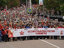 В Калининграде "Бессмертный полк" объединил более 67 тысяч человек