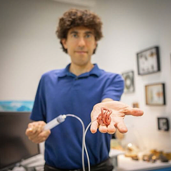 В Гарварде разработали червеобразных роботов, двигающихся в клубке