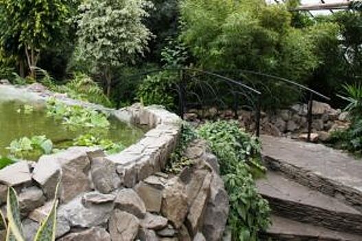 Чему посвящена новая экспозиция в волгоградском ботаническом саду?