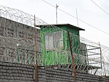 Новосибирский предприниматель осужден на четыре года за мошенничество на 170 млн руб.