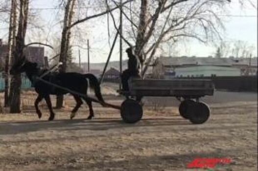 Неинициативные, но послушные. Жители сёл против назначения местных глав