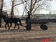 Неинициативные, но послушные. Жители сёл против назначения местных глав