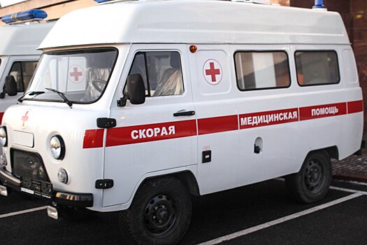 Рейсовый автобус столкнулся с грузовиком на трассе А108