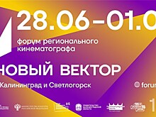 Около 50 фильмов будут бесплатно представлены на форуме "Новый вектор" в Калининградской области