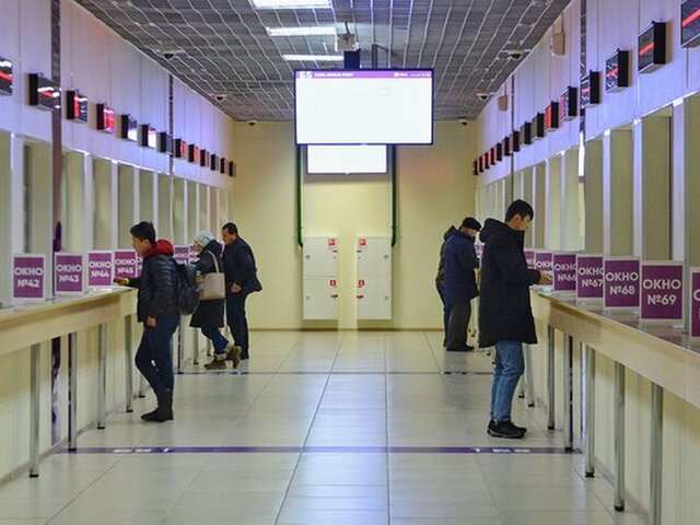 ГД обсудит инициативу об аннулировании ВНЖ иностранцам с судимостью 13 мая