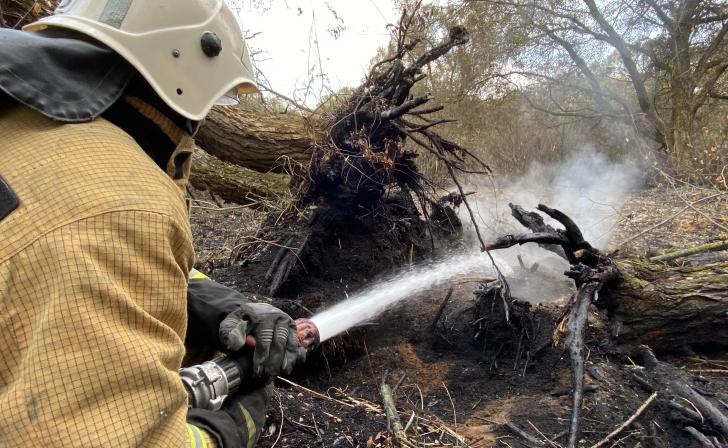 В Курске выберут наказание для виновника пожара