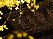 Тысячелетнее дерево гинкго в окрестностях Пекина