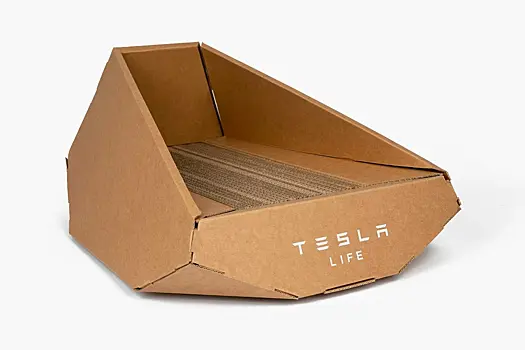 Тайваньская компания обвинила Tesla в плагиате аксессуаров для кошек
