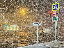 В Москве высота сугробов увеличилась до 13 см