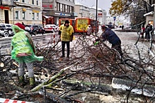 В Нижнем Новгороде сильный ветер повалил более 200 деревьев