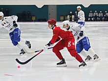 Хоккейный «Енисей» в Красноярске разгромил московское «Динамо»