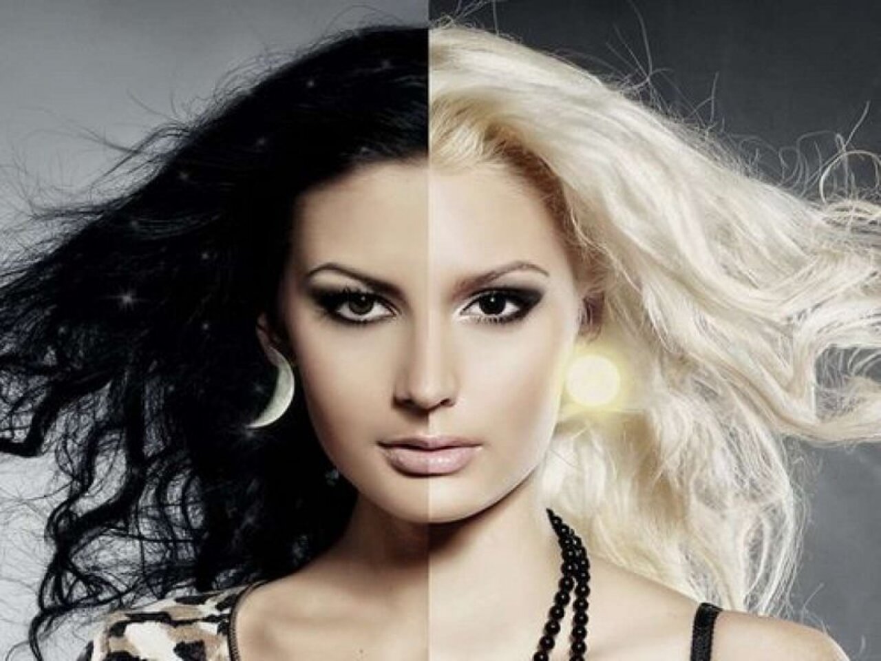 Blonde vs. Блондинка и брюнетка. Блондинки против брюнеток. Блондинка или брюнетка.