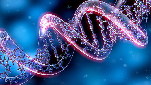 Ученые МГУ исследовали способы упаковки ДНК в клеточном ядре